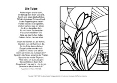 Die-Tulpe-Platen-ausmalen.pdf